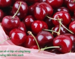Cùng Lanbian VF Dâu Rừng khám phá 9 công dụng “thần kỳ” của cherry Mỹ