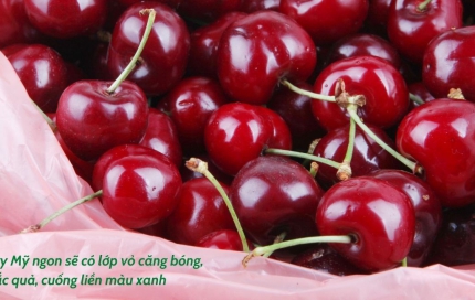 Cùng Lanbian VF Dâu Rừng khám phá 9 công dụng “thần kỳ” của cherry Mỹ