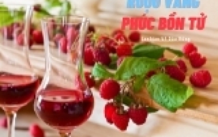 Rượu vang phúc bồn tử đỏ - Tinh túy giọt rượu chuẩn công nghệ ORGANIC Hữu Cơ 100%