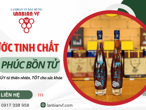 Nước tinh chất Phúc Bồn Tử - Tinh túy từ thiên nhiên, an toàn cho sức khỏe