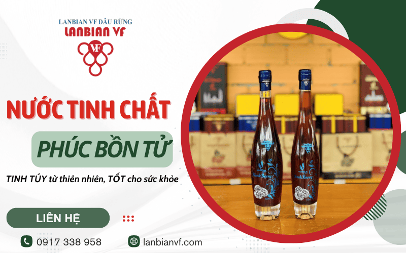 Nước tinh chất Phúc Bồn Tử