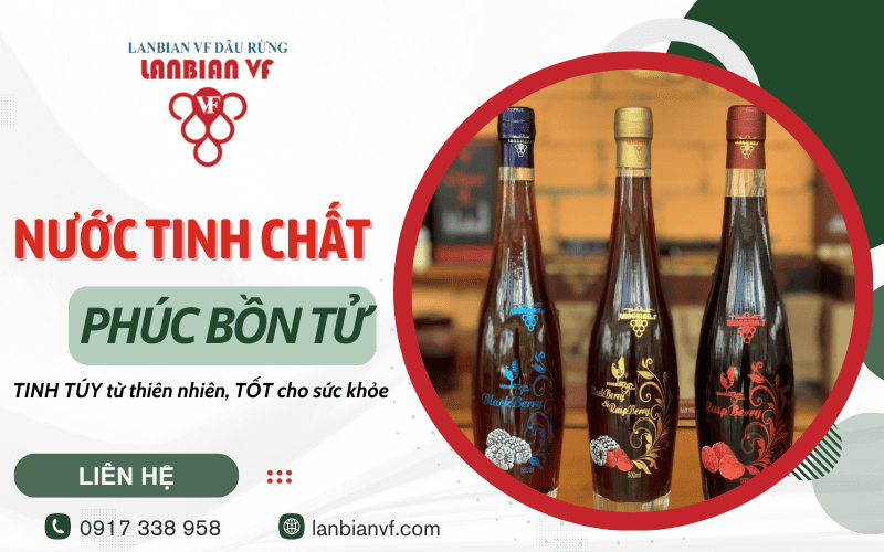 Nước tinh chất Phúc Bồn Tử
