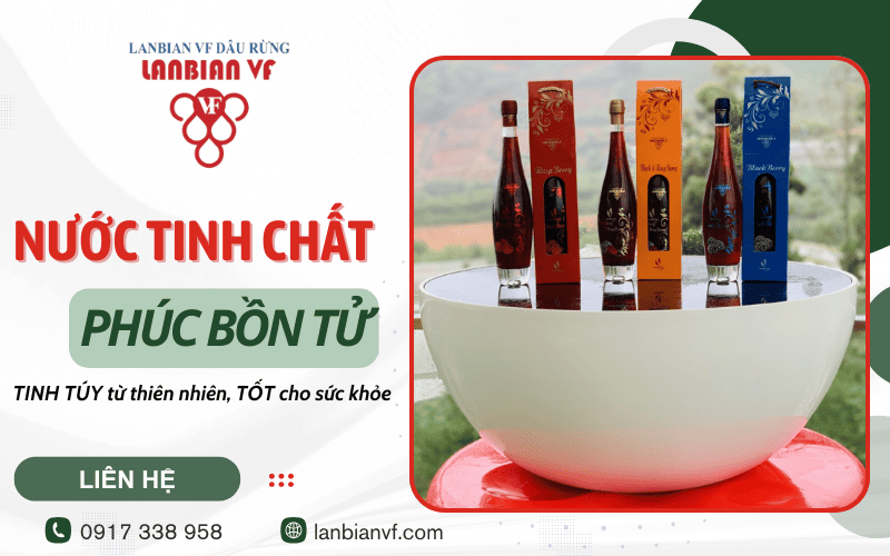 Nước tinh chất Phúc Bồn Tử